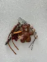 image00023.webp